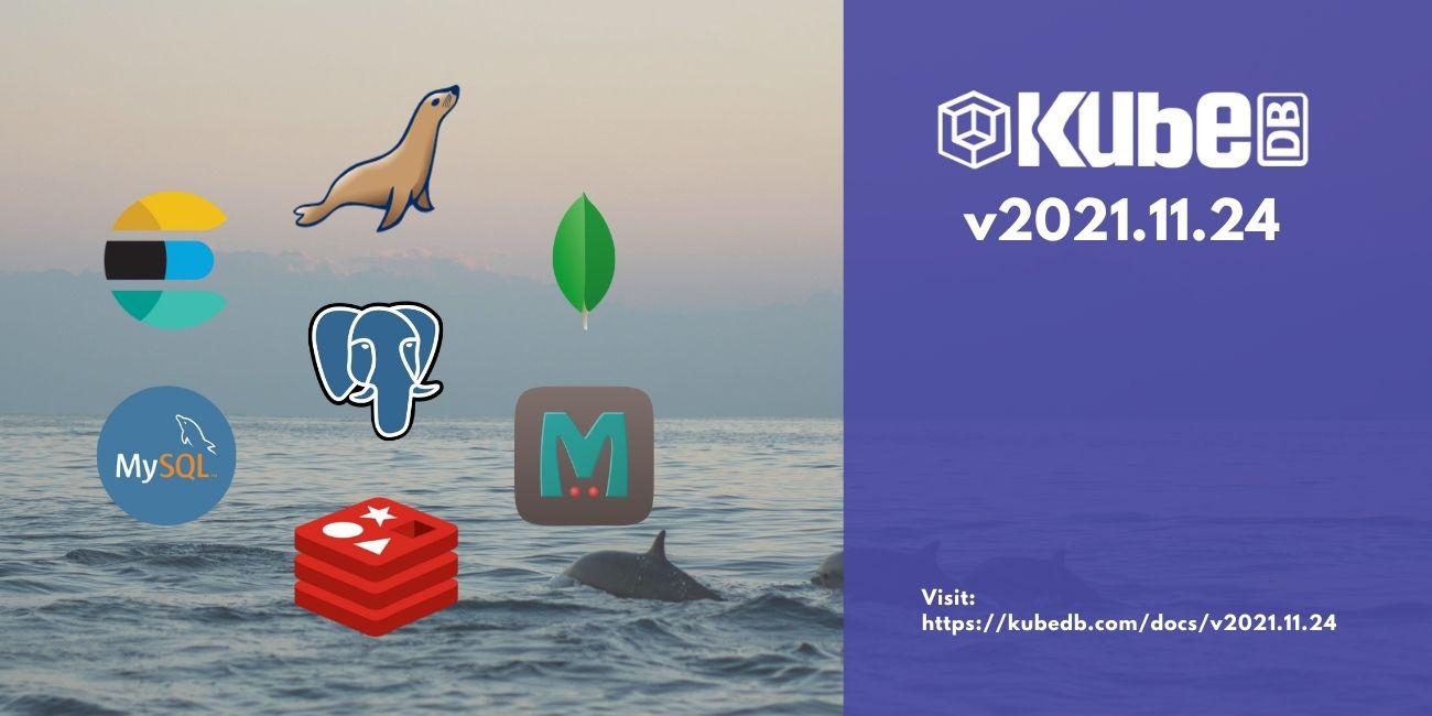 Announcing KubeDB & Stash v2021.11.24